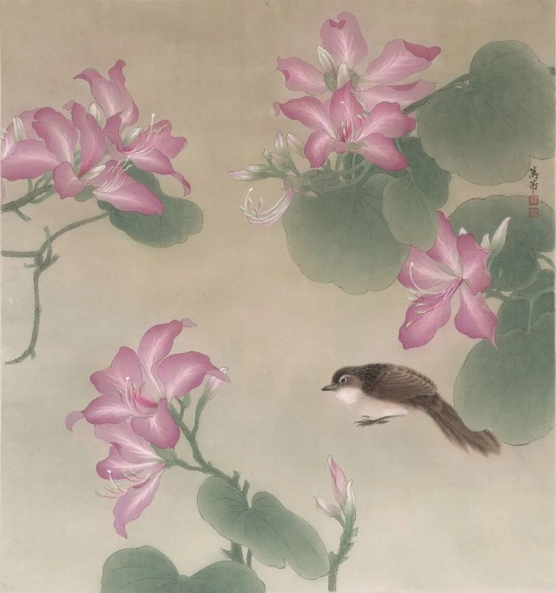 万芾“花鸟世界”中的二十四节气:大雪