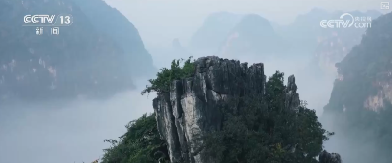 畅通“大动脉”为经济发展“添”动能 强劲钢铁“脉动”彰显经济蓬勃活力