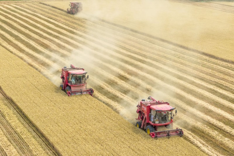 2025中国经济回眸｜筑牢发展安全根基 守住风险防控底线――解码中国经济稳健前行的底气