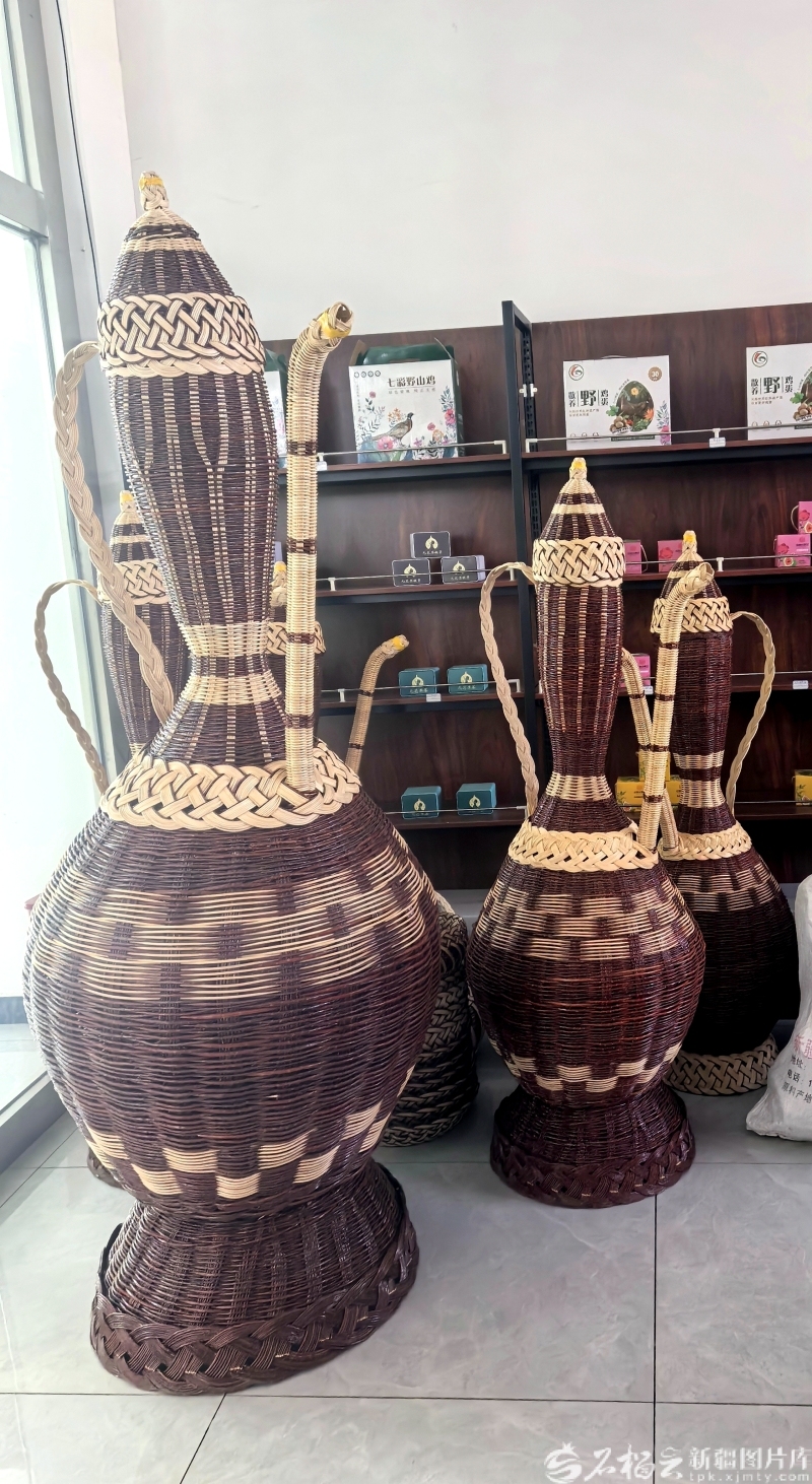 120万亩红柳林如何让荒漠重生――哈拉峻乡的生态振兴实践