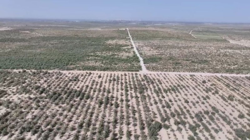 新华视点|山河新貌:多地实践探索绿色发展