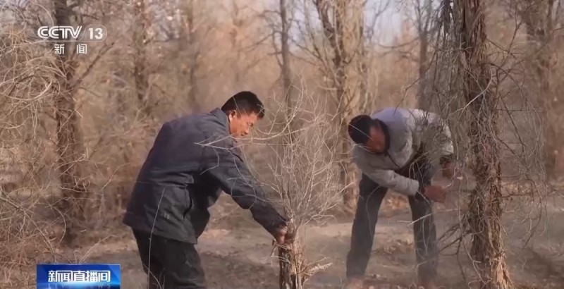 从防沙、固沙到治沙、用沙 看他们如何阻止两大沙漠合拢→