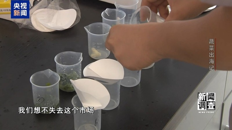 新闻调查丨从追标准到定标准 “中国蔬菜出口第一县”做对了什么？