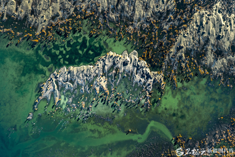 生态输水绘奇观：塔克拉玛干沙漠“飞”出金凤凰