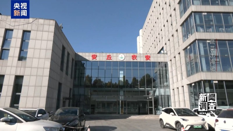 新闻调查丨从追标准到定标准 “中国蔬菜出口第一县”做对了什么？