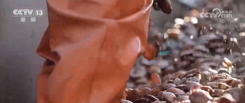 科技赋能海洋经济向“新”而行 “海上牧场”产出“大经济”助农增产增收