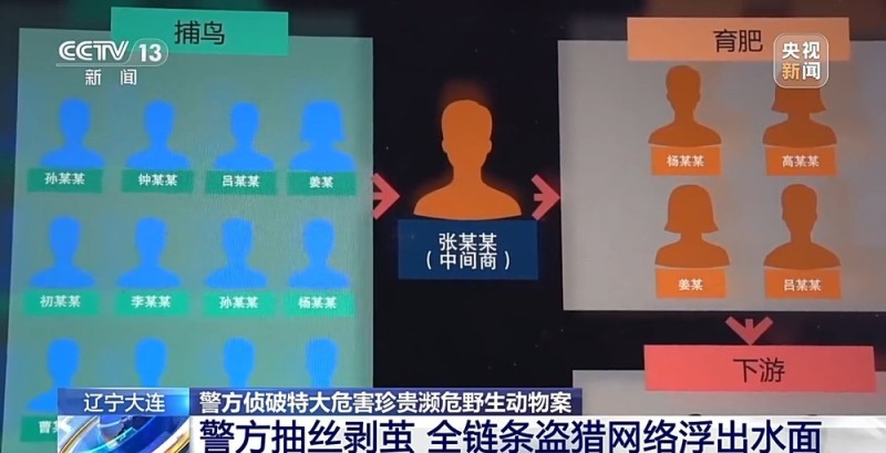 视频丨涉案金额达3900余万元 一张快递单引出野生鸟类盗猎大案