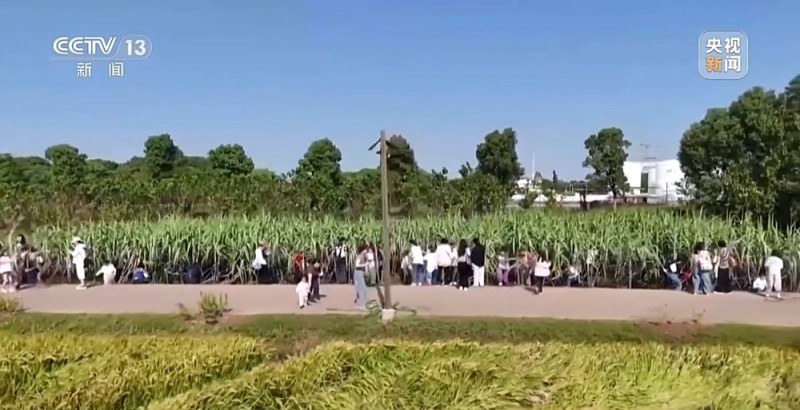 新闻周刊丨雪假、春秋假来了,学生的“新”假期到底怎么过?