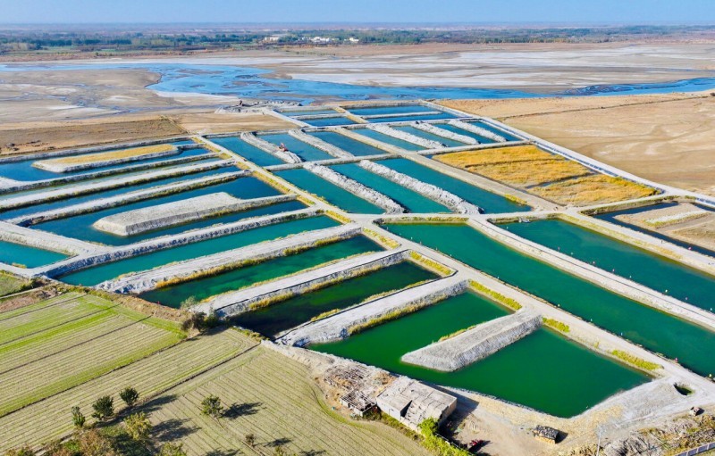 锁边合龙一周年丨从“死亡之海”到“财富绿洲” 看塔克拉玛干如何点沙成金