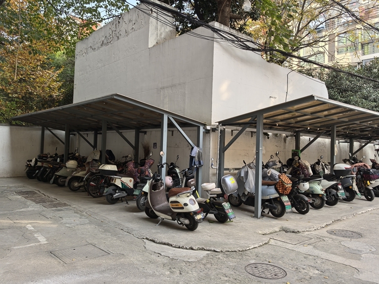 共建共治共享 南京探索大城“善治”新路径