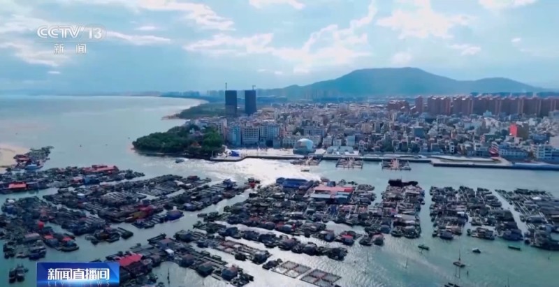 视频丨冬季到海南 解锁更多“玩海”新体验