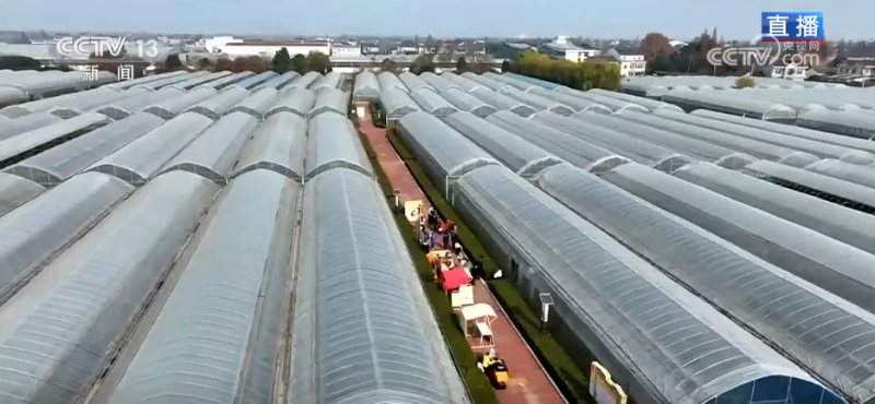 让“闲田”变“忙田” 农村创业新力量让冬日乡村“火”起来