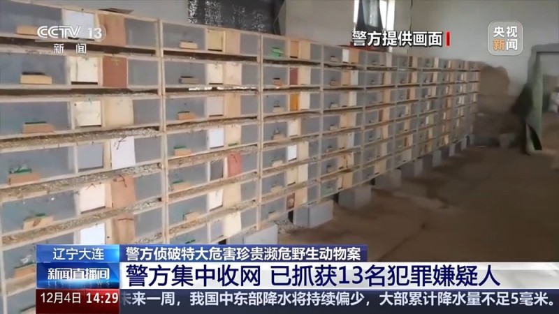 视频丨涉案金额达3900余万元 一张快递单引出野生鸟类盗猎大案