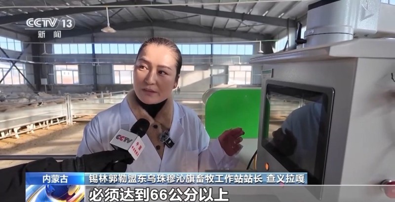 一只羊能有超170种产品!看草原美味如何撬动消费大市场