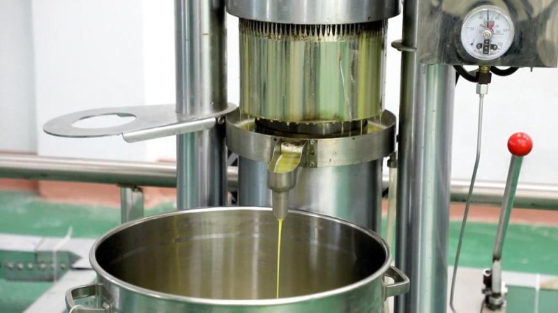 新华视点丨特色产业激活乡村振兴动能