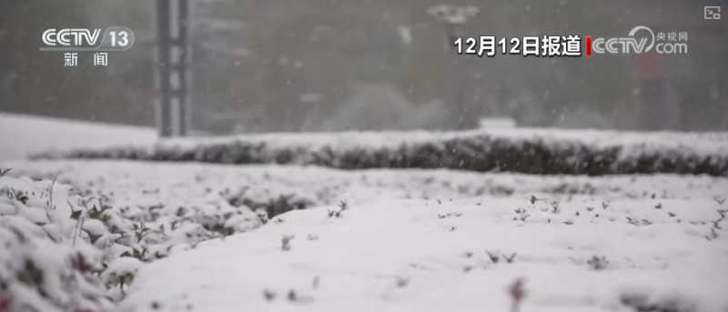 多部门以“雪”为令协同联动保畅通、保民生 全力护航百姓生产生活平稳有序