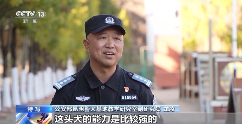 驯导员谈昆明犬:警犬不会演戏 每一次训练都是实战