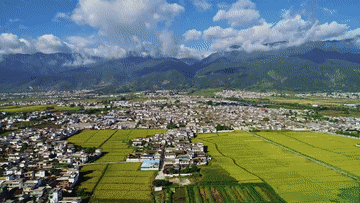 全球连线丨美国人林登:让世界听见中国乡村的声音