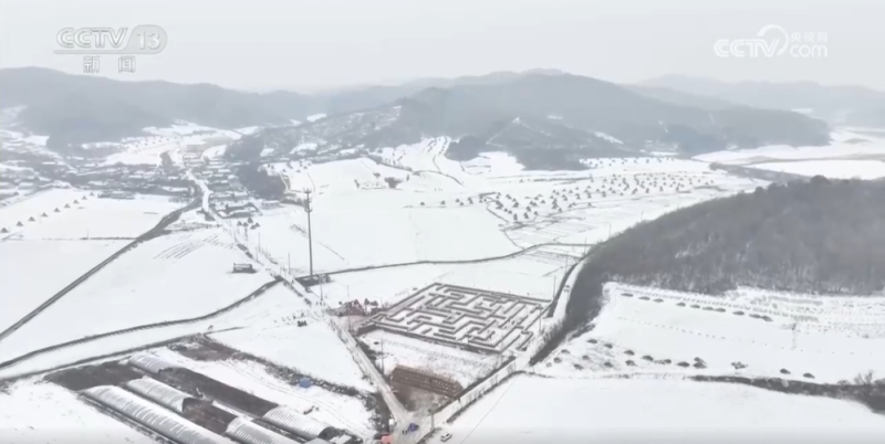 从“赶大集”到“打卡草垛迷宫” 一起感受冬日乡村生活“烟火气”