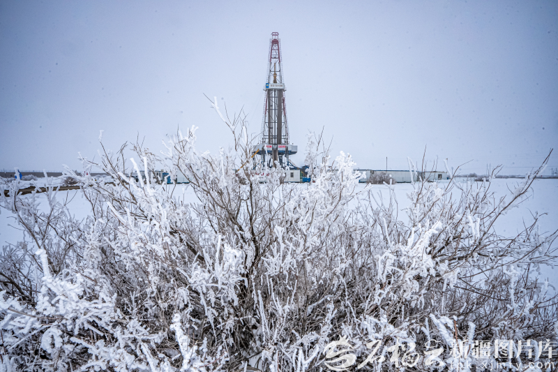 “磨刀石里榨油”的戈壁传奇