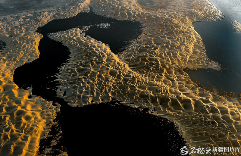 生态输水绘奇观：塔克拉玛干沙漠“飞”出金凤凰