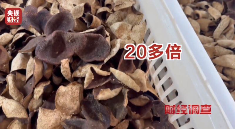 产地造假、年份速成、无视监管！总台《财经调查》曝光新会陈皮市场乱象