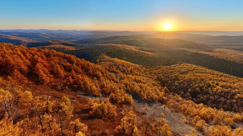 新华鲜报・“十四五”发展亮点｜中国“调色盘”增新绿！森林覆盖率超25%