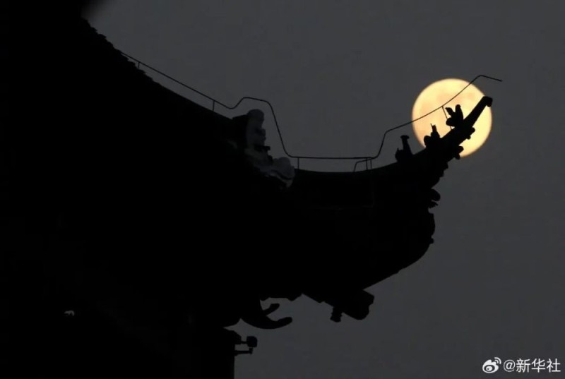 7点出发｜高市早苗，被控告！