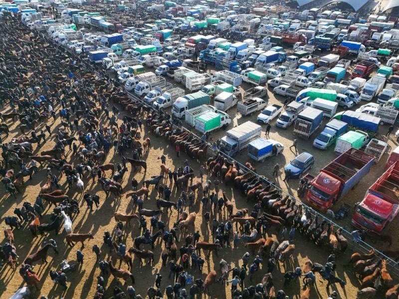 在新疆的巴扎 他们是连接牧场和市场的“纽带”