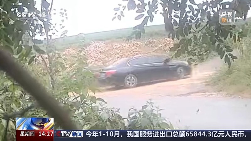 视频丨涉案金额达3900余万元 一张快递单引出野生鸟类盗猎大案