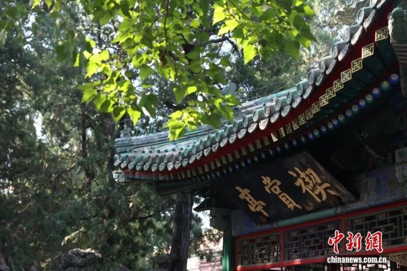 马克龙到北京,为何参观这座“花园”?