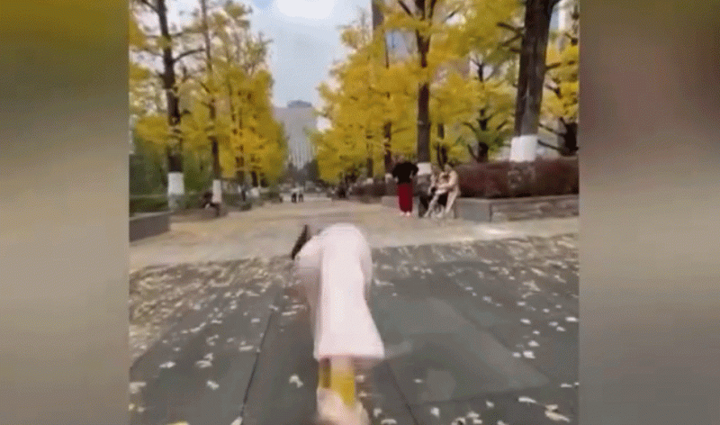 视频丨动作行云流水 4岁萌娃高难度后空翻惊呆网友