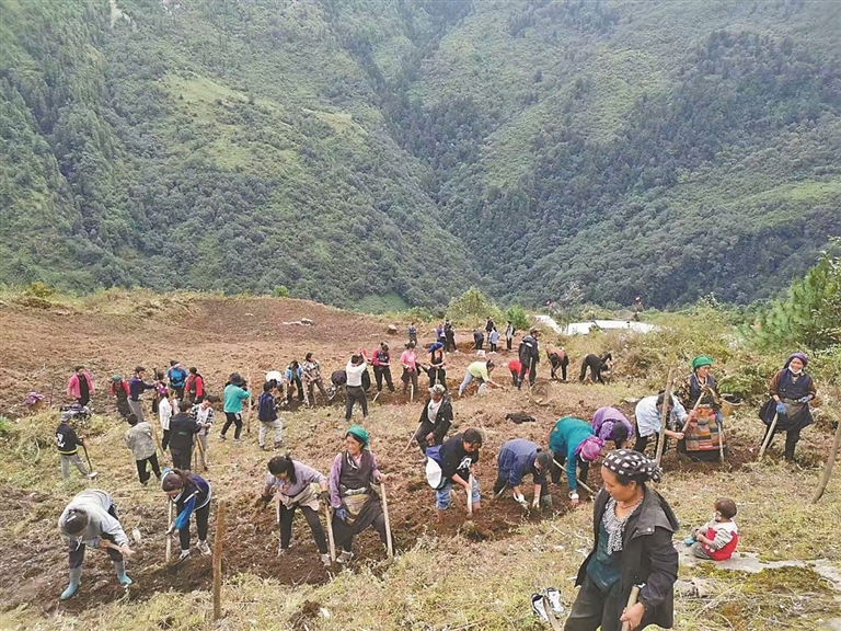 牢固树立“两山”理念 打造生态文明高地系列报道――茶香弥漫,百姓笑了!