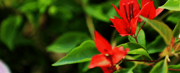 中国经济样本观察・县域样本篇｜这座苏北县城为何吸引30多万年轻人回流返乡？