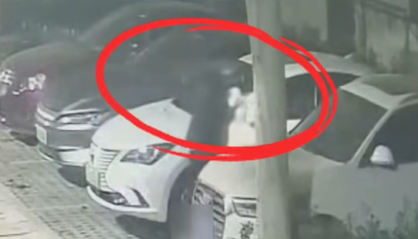 看到立即报警!这种小卡片竟是电诈引流工具