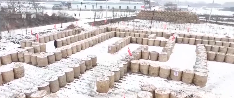 从“赶大集”到“打卡草垛迷宫” 一起感受冬日乡村生活“烟火气”