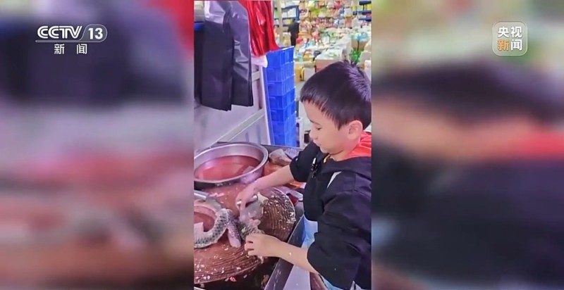 新闻周刊丨雪假、春秋假来了,学生的“新”假期到底怎么过?