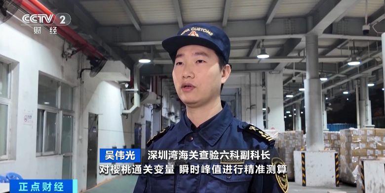 视频丨今年“智利樱桃季”正式启幕 首批海运智利樱桃抵达深圳