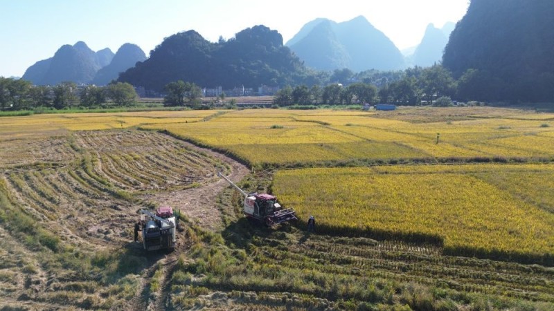 四中全会精神解读・市场最前沿丨驶向丘陵山区！国产农机焕新启程