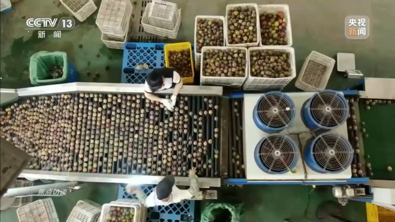 焦点访谈丨让一亿人稳定脱贫 中国有独特的“方法论”