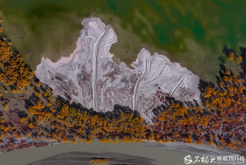 生态输水绘奇观：塔克拉玛干沙漠“飞”出金凤凰