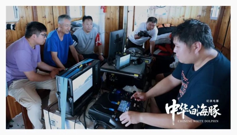 与粤港澳“海洋精灵”相遇 《中华白海豚》12月12日上映 不止于海的生命叙事