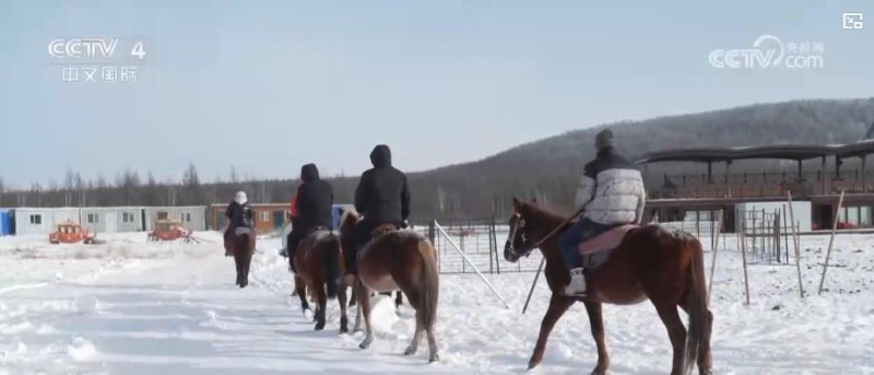 从北方雪场到南方室内：冰雪游全线升温 点燃冬季文旅消费增长新引擎