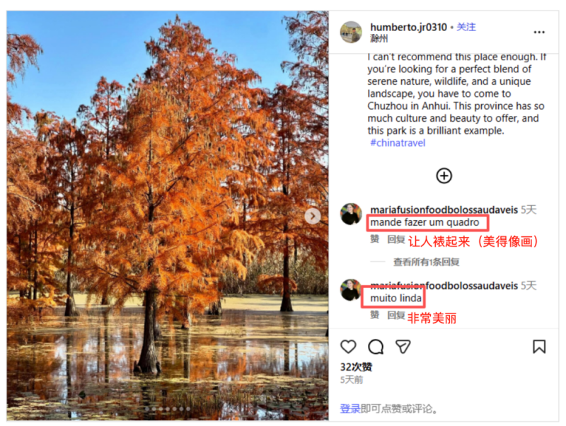 【2025打卡中国】将“安徽故事”融入“世界叙事” 外国博主在皖山皖水间书写文明互鉴新篇