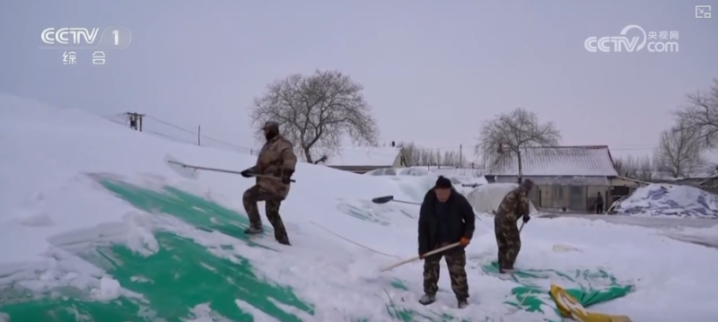 多地气温“滑梯式”下跌 多部门协同细化服务全力保障百姓生产生活