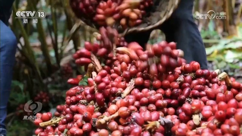 焦点访谈｜新时代的减贫奇迹，是怎么做到的？