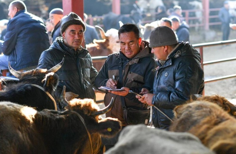 在新疆的巴扎 他们是连接牧场和市场的“纽带”
