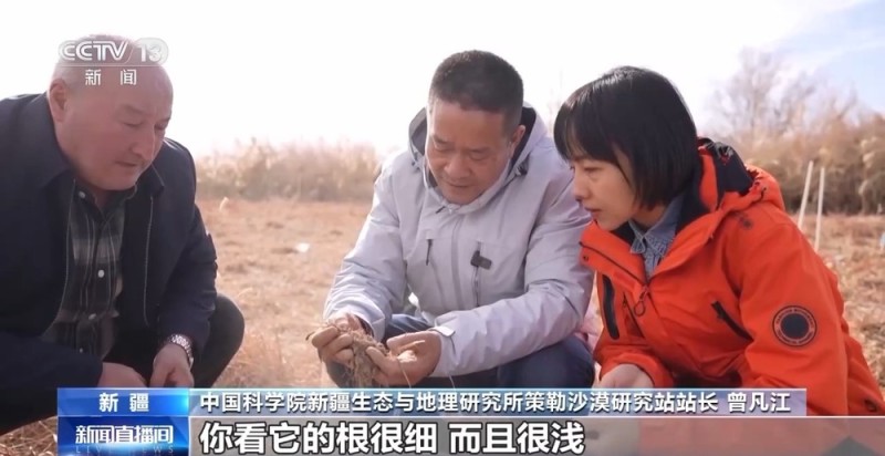 从防沙、固沙到治沙、用沙 看他们如何阻止两大沙漠合拢→