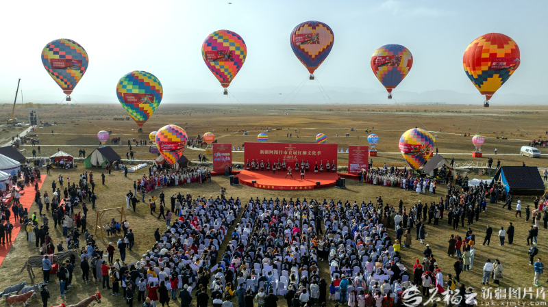 120万亩红柳林如何让荒漠重生――哈拉峻乡的生态振兴实践