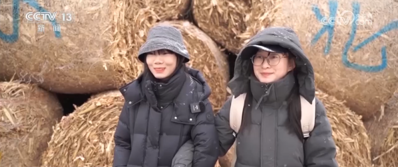 从“赶大集”到“打卡草垛迷宫” 一起感受冬日乡村生活“烟火气”